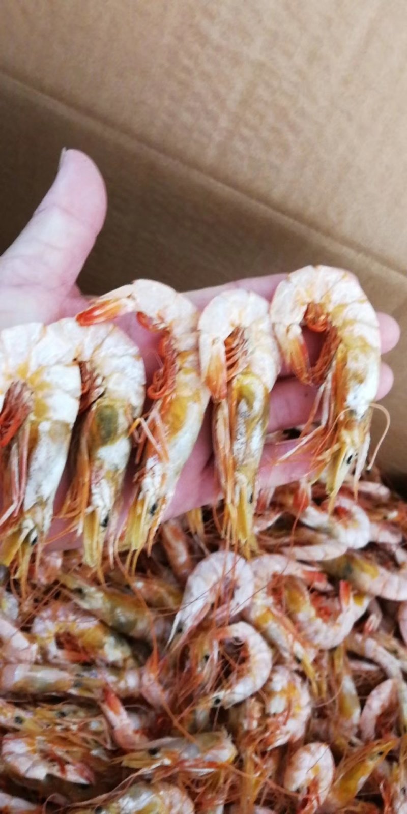 虾干即食虾干海虾干本地渔民自晒
