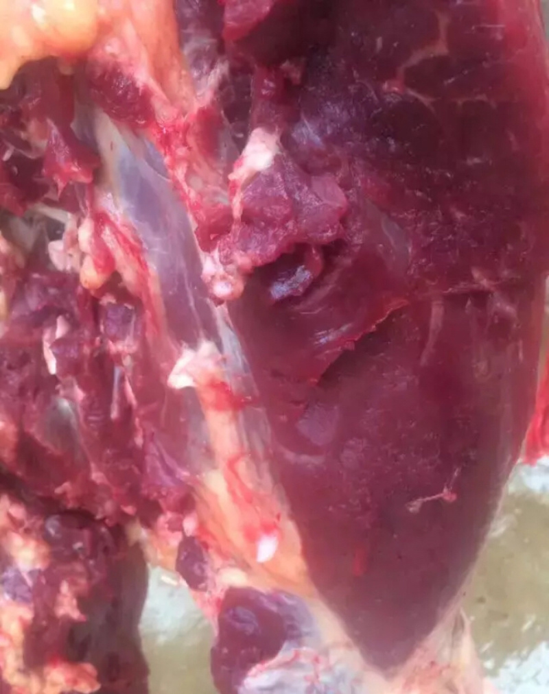 新鲜驴肉驴头驴鞭驴蹄驴肉新鲜现杀驴肉驴心驴肝
