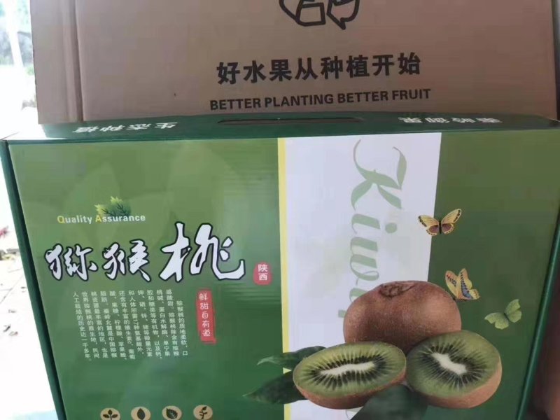 陕西徐香猕猴桃产地代收一条龙可对接批发电商一件代发