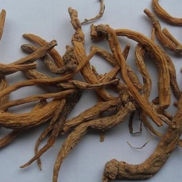 金铁锁,道地药材,质优价实,品质保证,药典标准一公斤起批