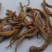 金铁锁,道地药材,质优价实,品质保证,药典标准一公斤起批