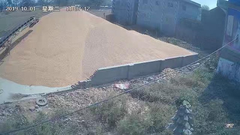 玉米