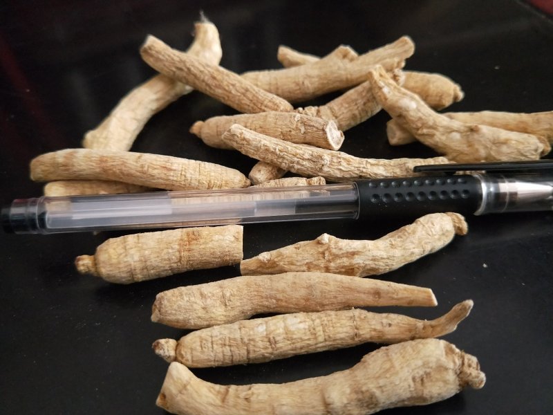 东北西洋参花旗参整枝可切片可打粉长支西洋参