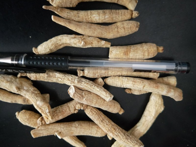 东北西洋参花旗参整枝可切片可打粉长支西洋参
