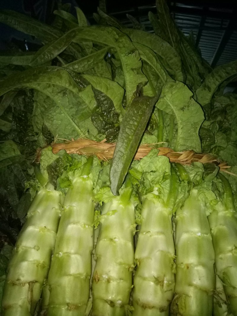 红尖叶莴苣皮薄，皮青，肉绿