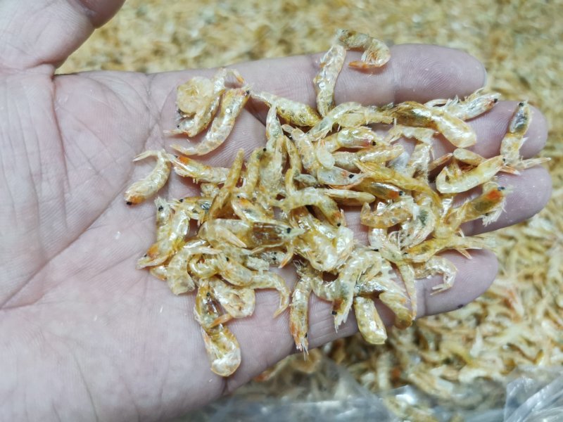 麦秆虾皮，烘干虾皮，虾皮