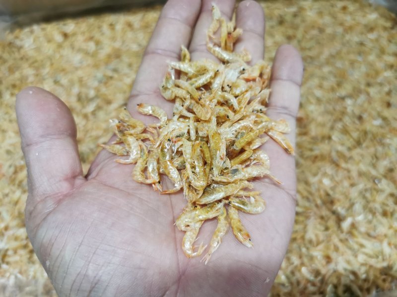 麦秆虾皮，烘干虾皮，虾皮