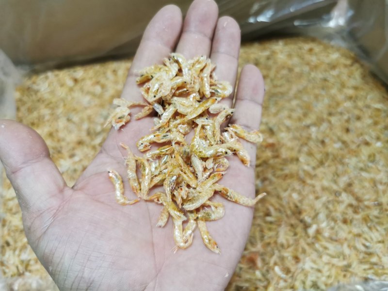 麦秆虾皮，烘干虾皮，虾皮