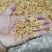 麦秆虾皮，烘干虾皮，虾皮