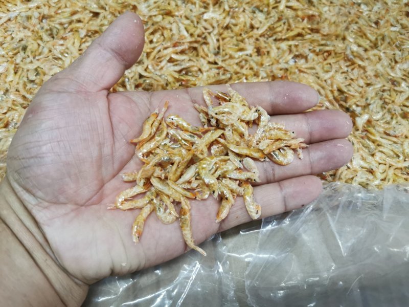 麦秆虾皮，烘干虾皮，虾皮
