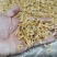 麦秆虾皮，烘干虾皮，虾皮