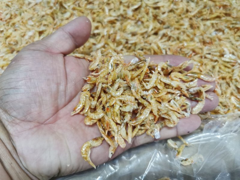 麦秆虾皮，烘干虾皮，虾皮