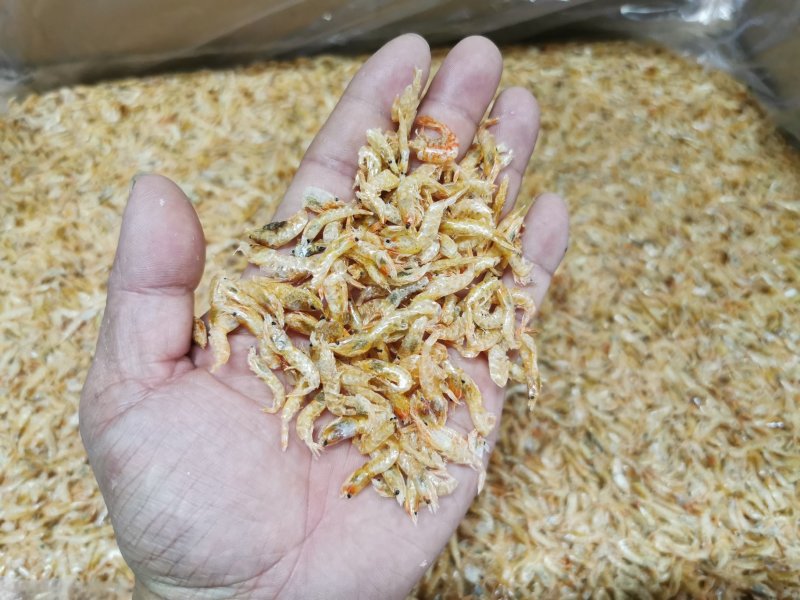 麦秆虾皮，烘干虾皮，虾皮