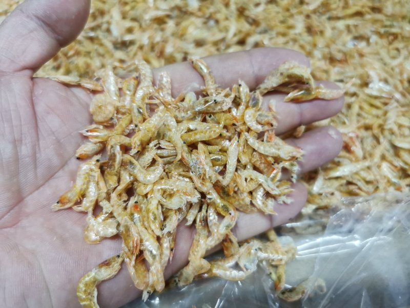 麦秆虾皮，烘干虾皮，虾皮