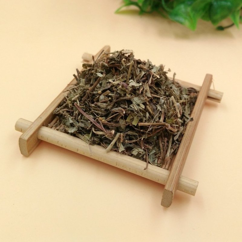 叶下珠中药材云南野生苦味叶下珠珍珠草鱼鳞草珍珠草