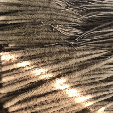 有要的联系铁棍山药
