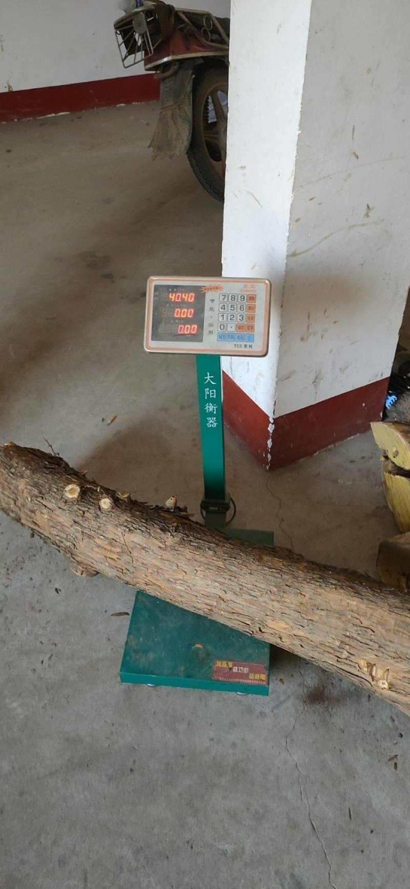 南橧北柘，十五至二十公分柘木