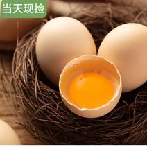 【助农】优质鸡蛋鲜鸡蛋草鸡蛋每天出货2万枚，促销3天。