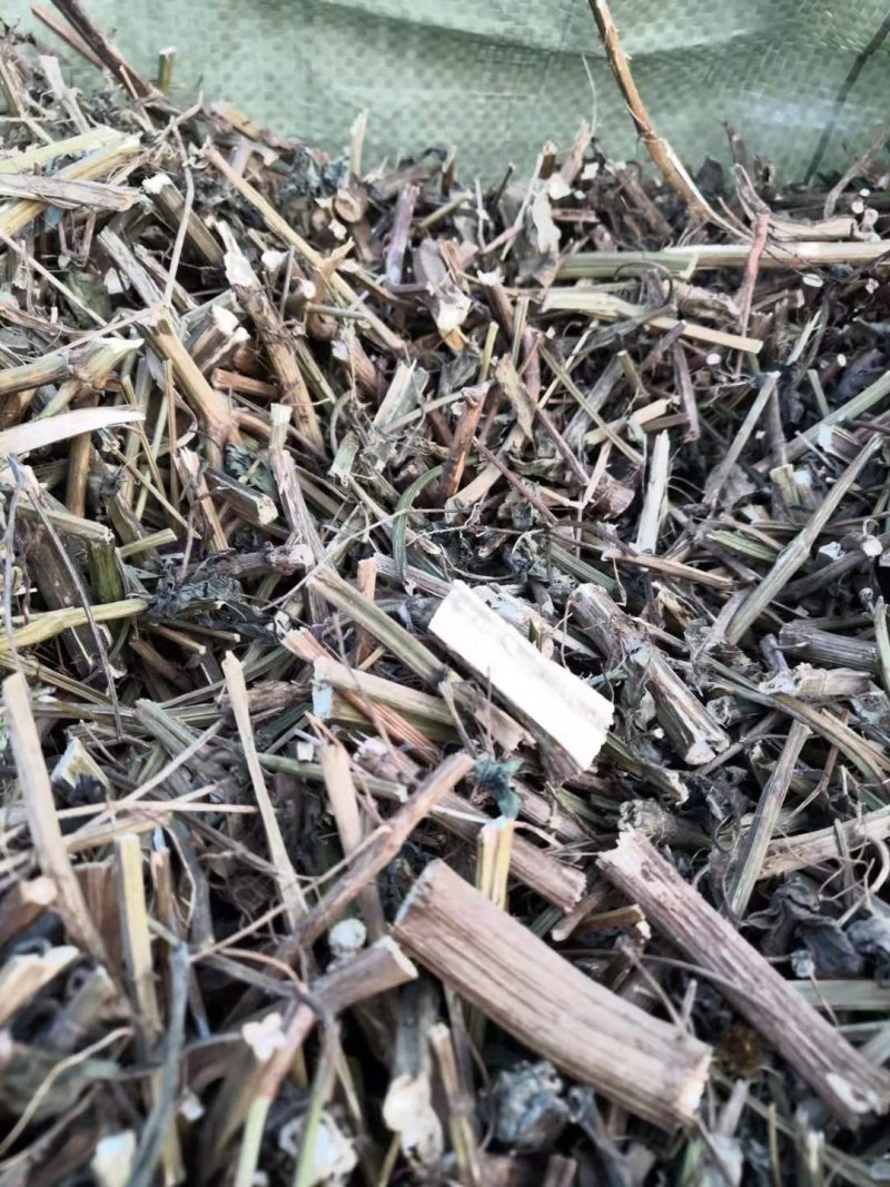 鬼针草切段大货靓货批发零售