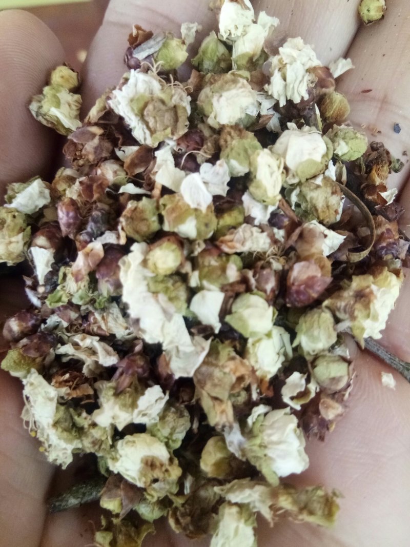 白梅花无硫无添加干品花茶类一斤起包邮