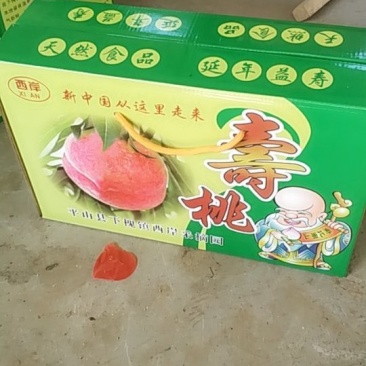 东岸采摘园寿桃
