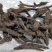 大戟,道地药材,质优价实,品质保证,药典标准一公斤起批