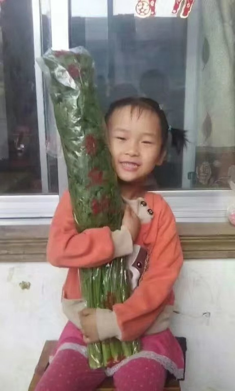 正宗章丘鲍芹批发，自产自销，质量好价格低。