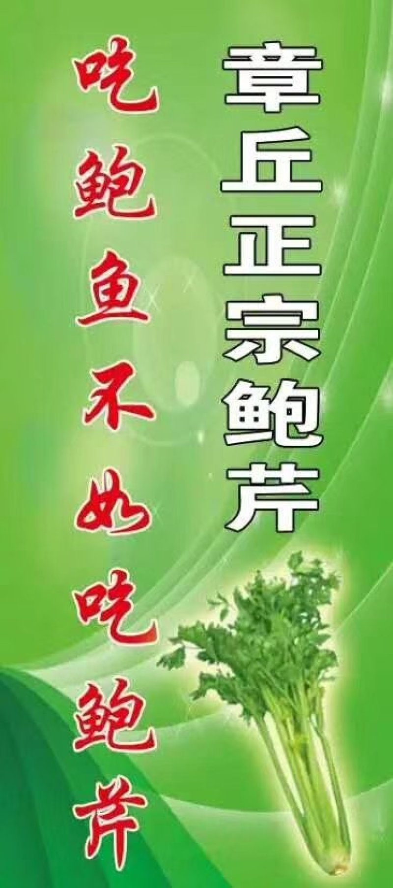 正宗章丘鲍芹批发，自产自销，质量好价格低。