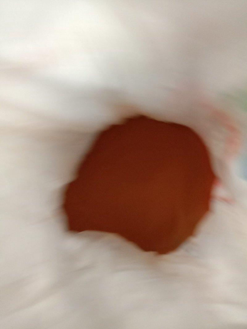 野生海金沙