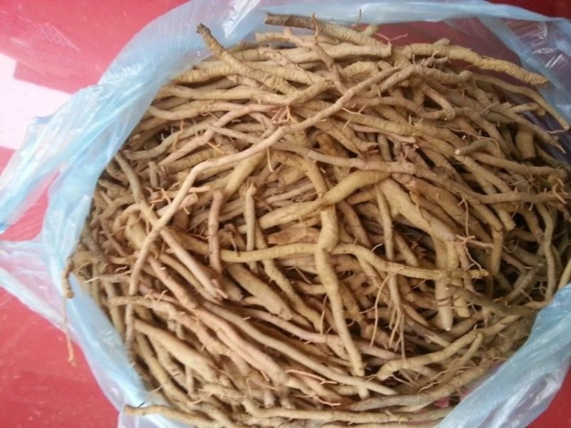 黄花菜根，道地药材直供，质优价实，品质保证，药典标准
