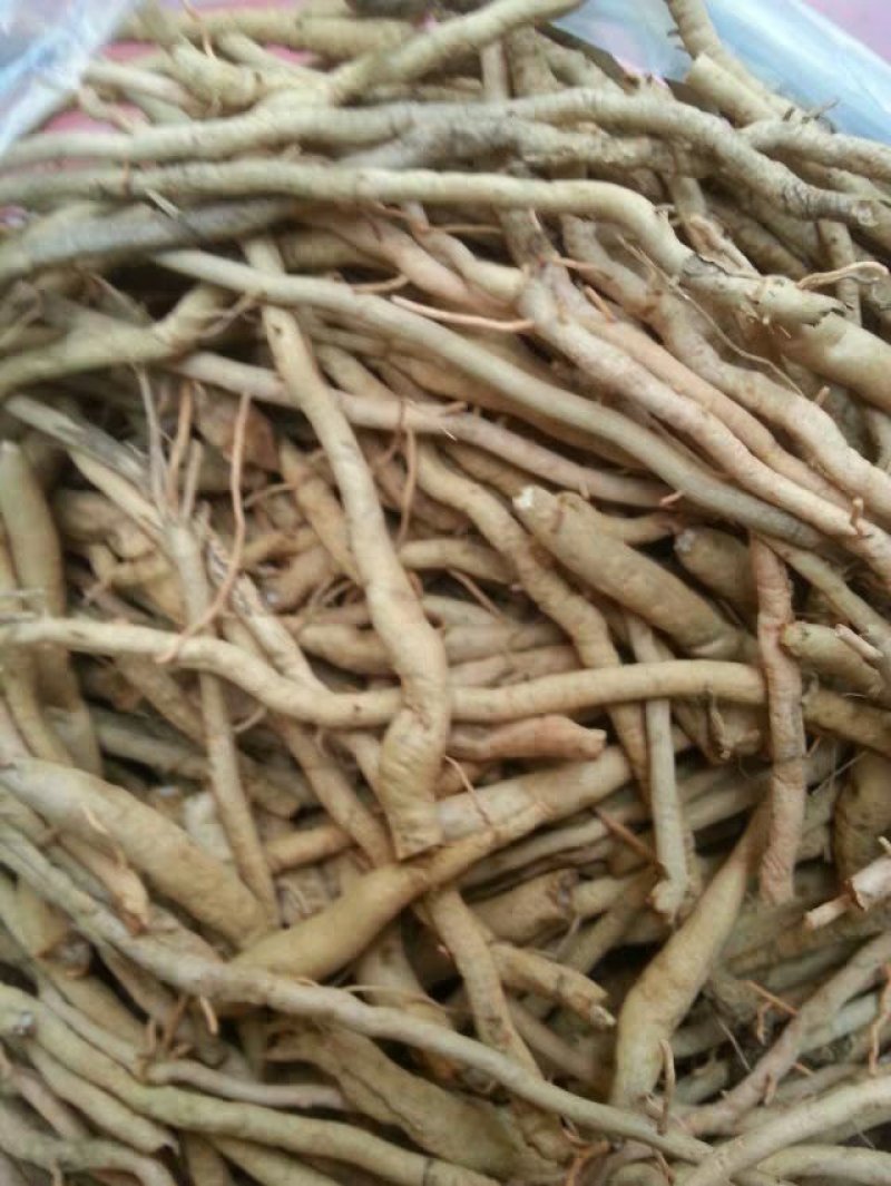 黄花菜根，道地药材直供，质优价实，品质保证，药典标准