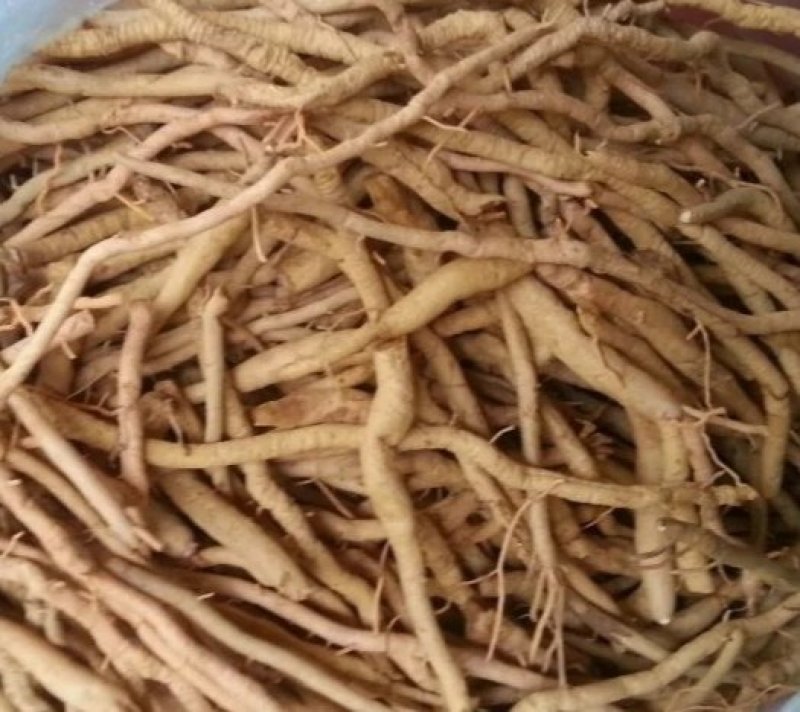 黄花菜根，道地药材直供，质优价实，品质保证，药典标准