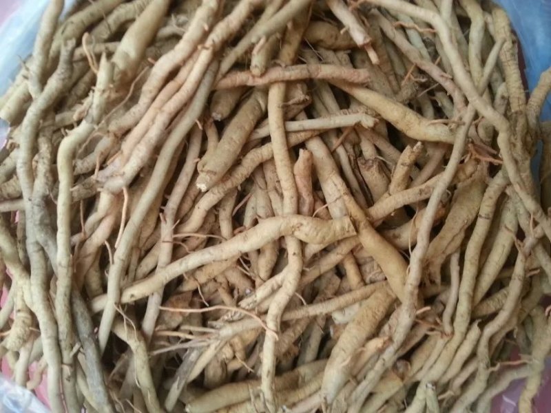 黄花菜根，道地药材直供，质优价实，品质保证，药典标准