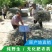 野生干艾叶草家用泡澡