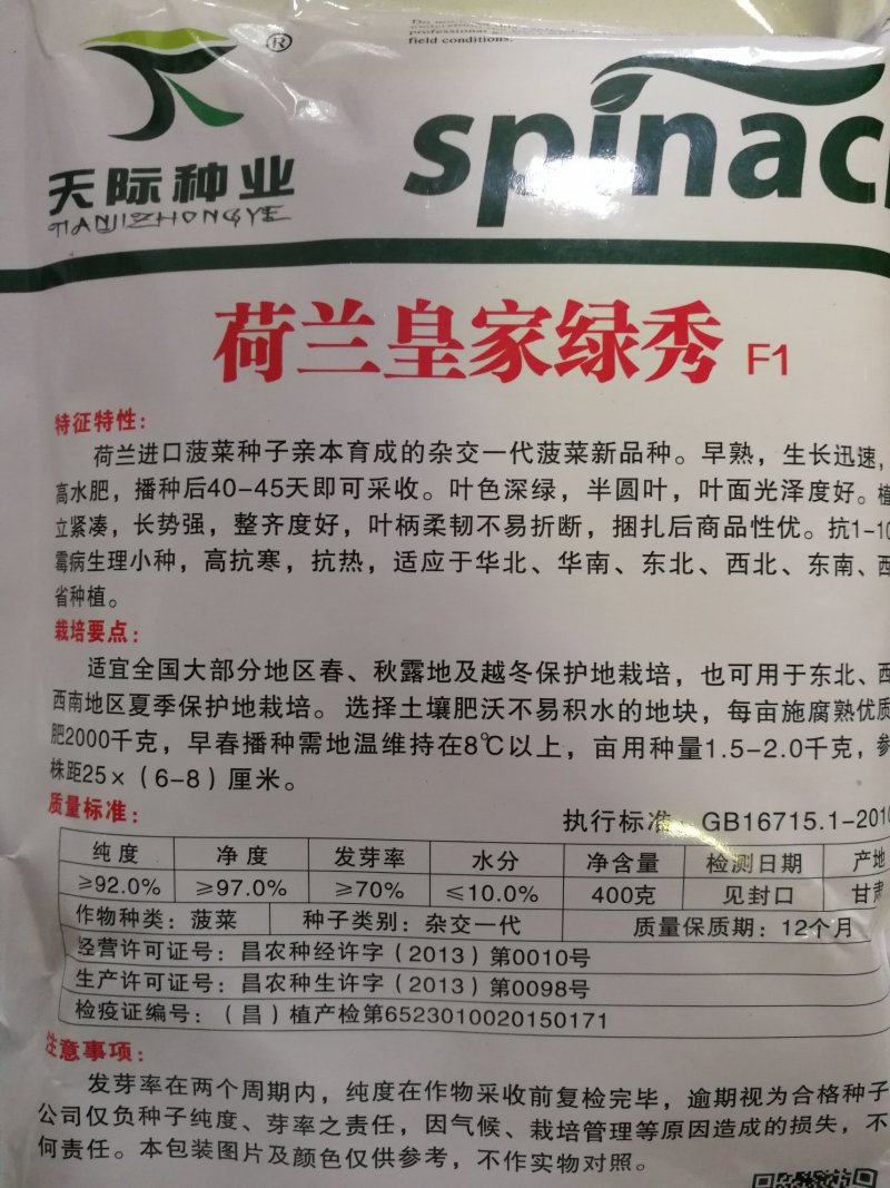 【精选】进口荷兰皇家绿秀大圆叶抗病好耐低温品质好产量高