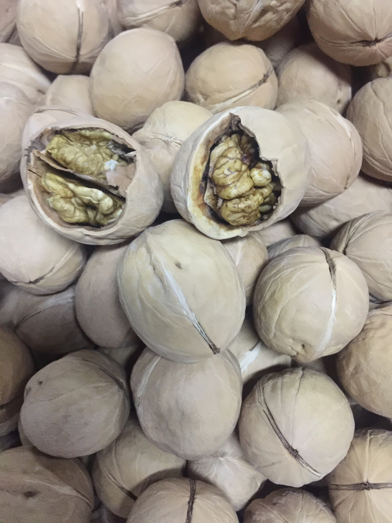 坚果干果