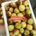 大量供应沾化精品冬枣，原产地直发