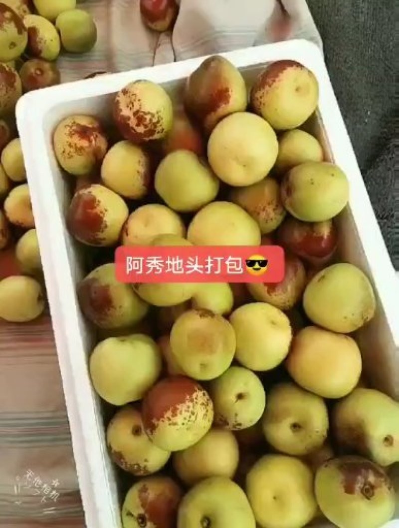 大量供应沾化精品冬枣，原产地直发