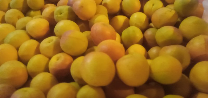 新疆风味