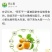 新疆特产