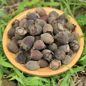 山稔子山稔根产地直供支持线上交易可搭配多品种采购