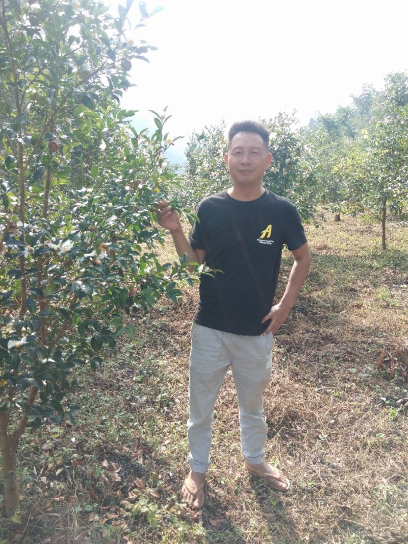 山茶油