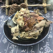 木棉花产地直供支持线上交易可搭配多品种采购大货联系