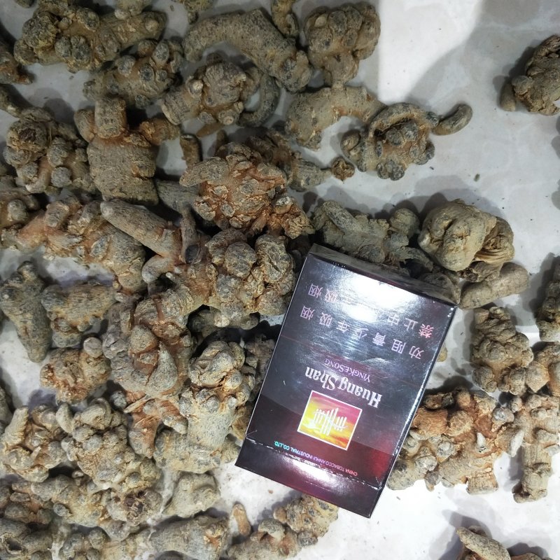 三七田七一首货源可免费打粉各种规格