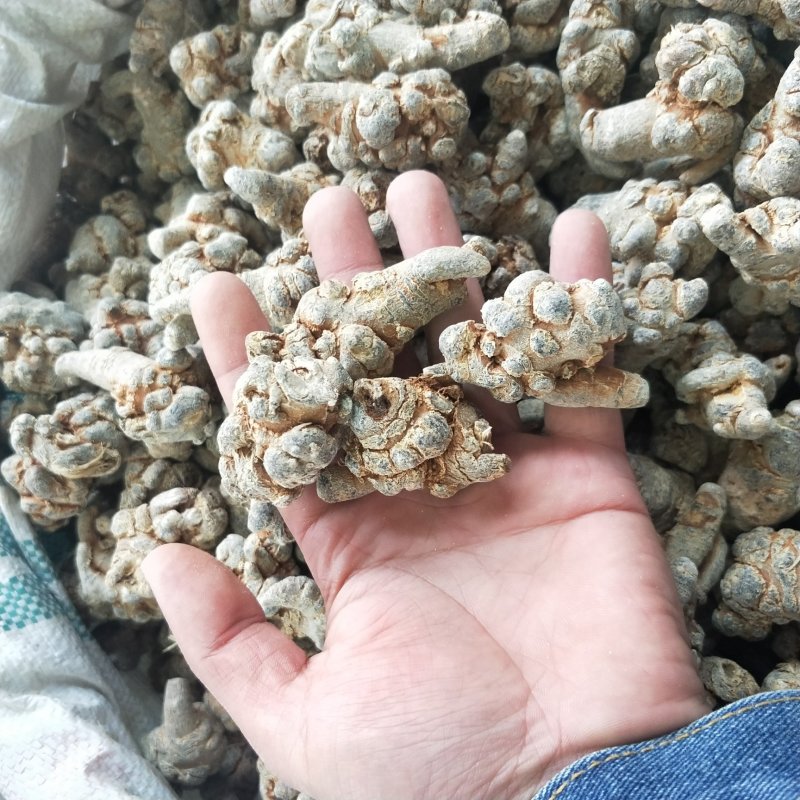 三七田七一首货源可免费打粉各种规格