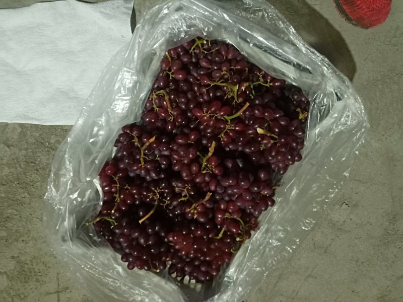 科瑞森