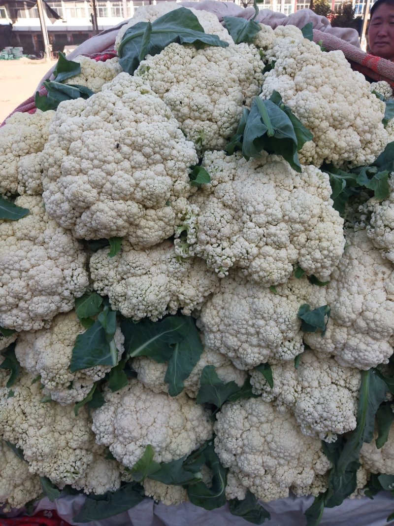 菜花
