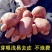 内蒙古武川县川尹2号红皮土豆