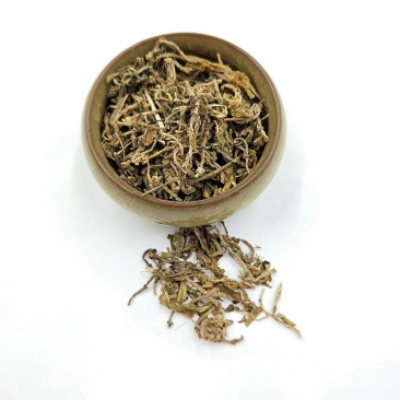 中药材垂盆草垂盆草干货垂盆草茶垂盆草新货