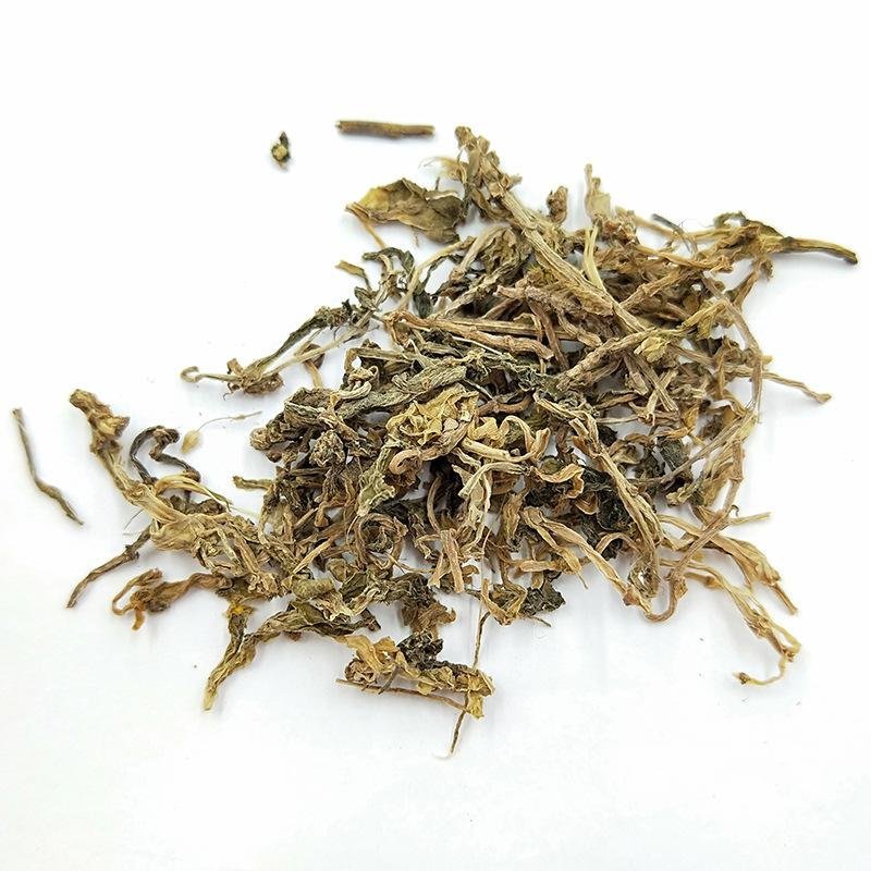 中药材垂盆草垂盆草干货垂盆草茶垂盆草新货